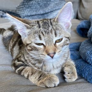 Meet your Posher, Delaney